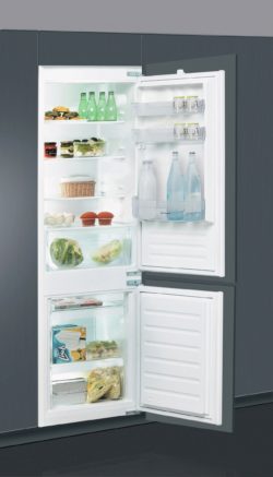 Indesit - IB7030A1D - Fridge Freezer
